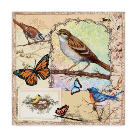 Sher Sester 'Birds Butterflies Bees Pastels' Canvas Art,35x35